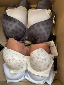 Bielizna Triumph, Sassa i Slogi