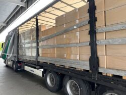 Obuwie - C - obrazek 4